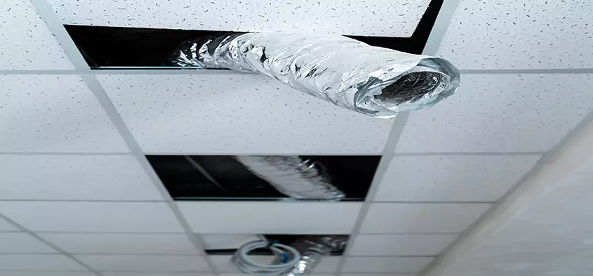 Our Air Duct Pet Hair Removal Services in Hilliard, OH