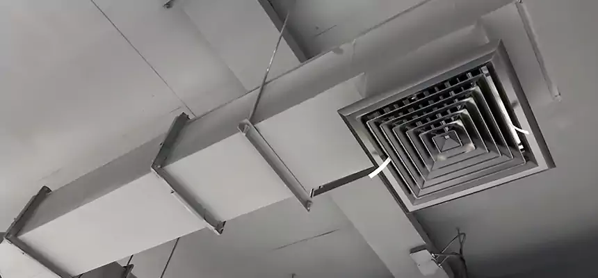 Our Rodent Droppings In Vents Services in Hilliard, OH