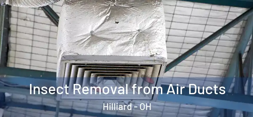  Insect Removal from Air Ducts Hilliard - OH