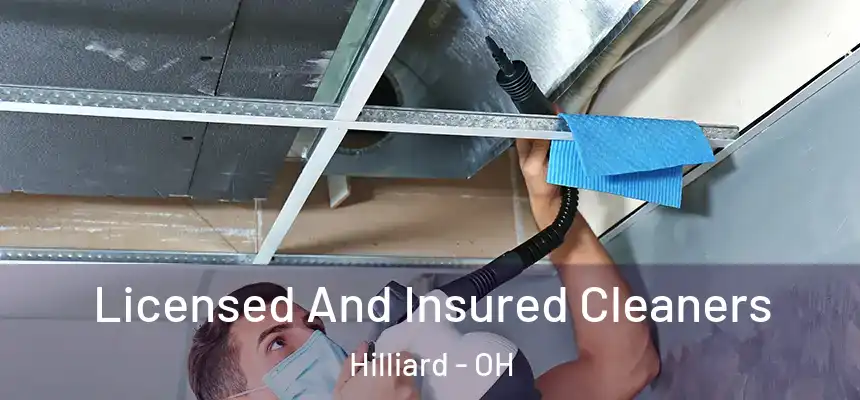  Licensed And Insured Cleaners Hilliard - OH