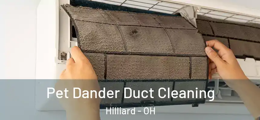 Pet Dander Duct Cleaning Hilliard - OH