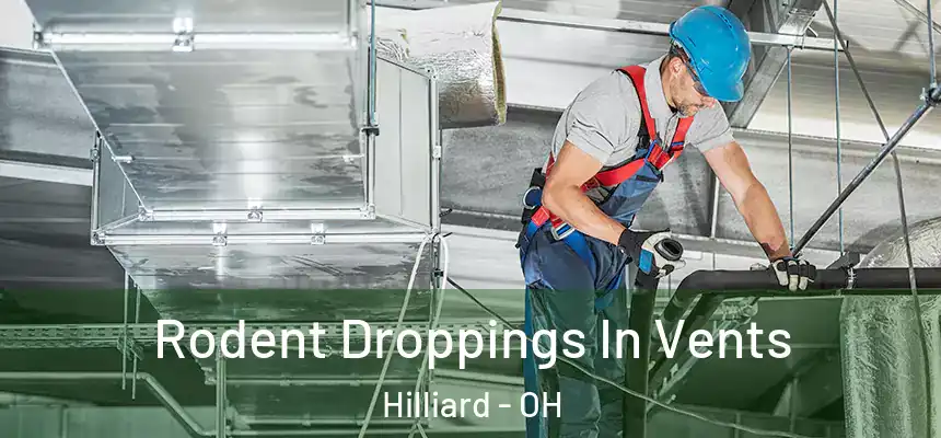  Rodent Droppings In Vents Hilliard - OH