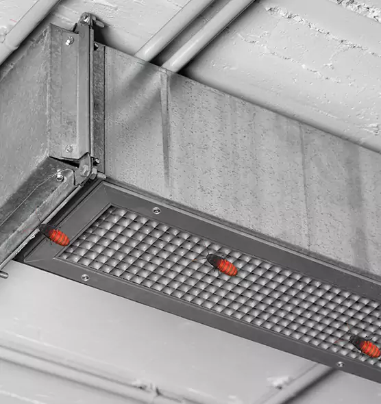 About Air Duct Cockroach Removal in Hilliard, OH