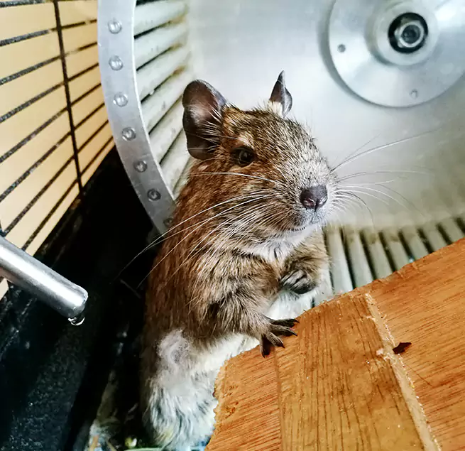 Why Homeowners & Businesses Trust Us Hilliard, OH